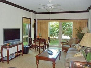 Flat-screen TV, DVD player, video library