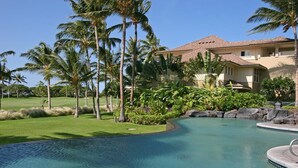 Een zwembadgedeelte met een golvend ontwerp, omgeven door palmbomen en een huis met een pannendak.