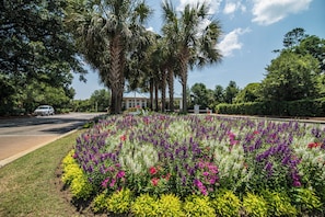 Ein angelegter Garten mit einer Vielzahl bunter Blumen, Palmen und einem Gebäude im Hintergrund.
