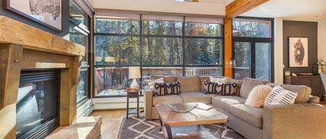 TV, fireplace, DVD player