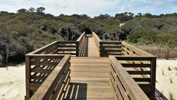 Un muelle de madera que serpentea por un paisaje natural con vegetación densa y árboles.