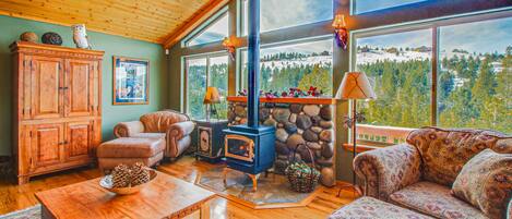 Televisión, chimenea y libros