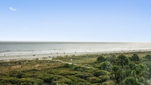 A beach with a clear sky, a sandy shore, and dense vegetation in the foreground. - Shorewood 504- Ocean Front Top Floor Spectacular Views! (Hilton Head Island)