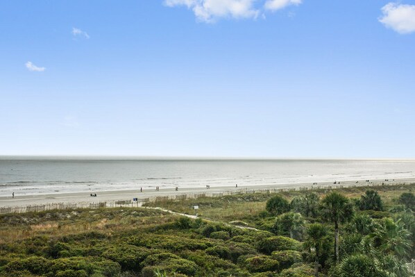 A beach with a clear sky, a sandy shore, and dense vegetation in the foreground.