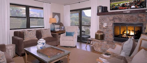 TV, fireplace, DVD player, books