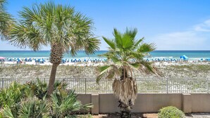 Ein Strand mit Palmen, einem weißen Zaun und blauen Sonnenschirmen.