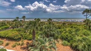 A coastal landscape with a beach, palm trees, and a clear sky. - 217 Breakers- Direct Oceanfront with Pool & Kiddy Pool (Hilton Head Island)