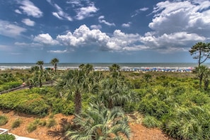 A coastal landscape with a beach, palm trees, and a clear sky.