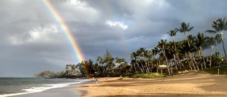 A beach with palm trees and a rainbow.
