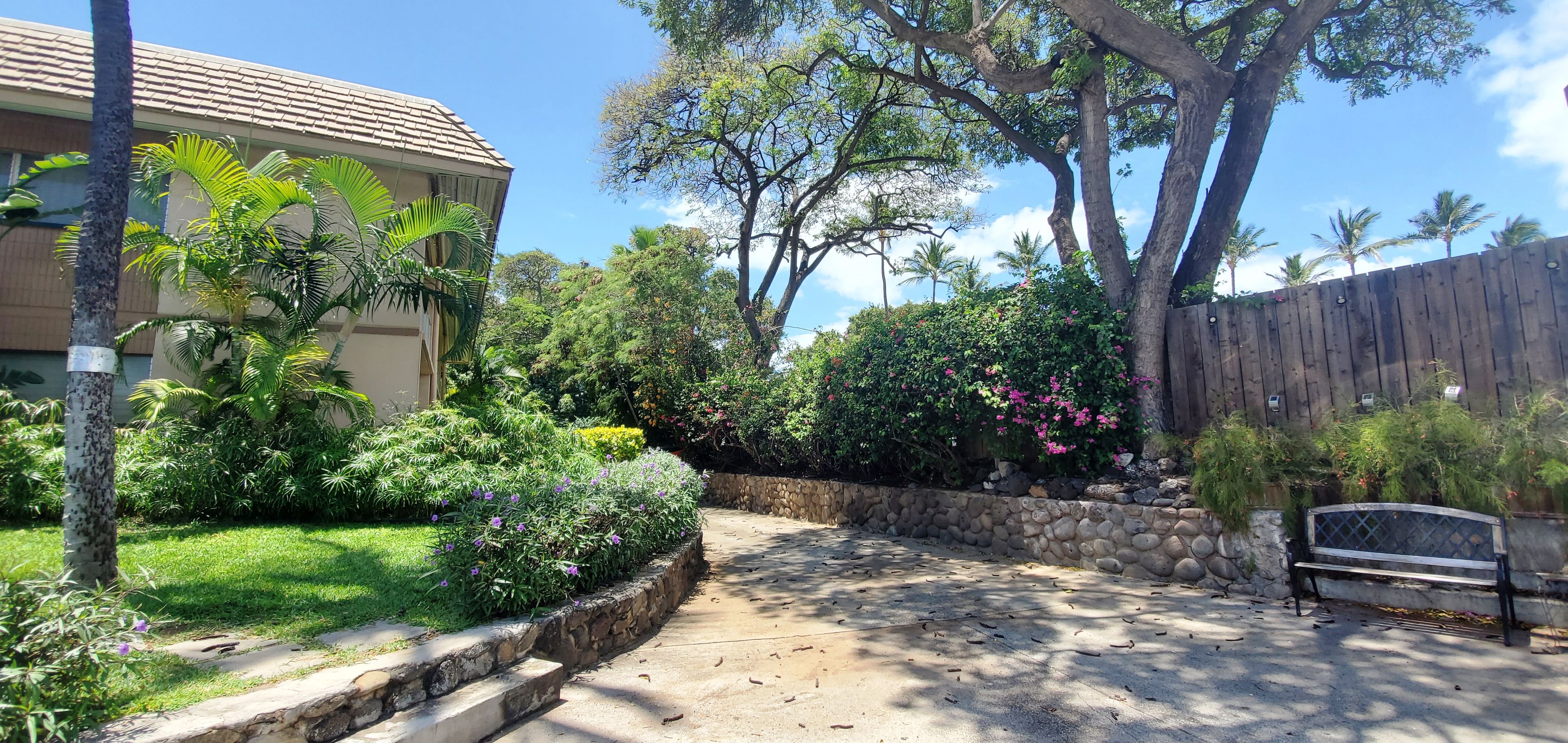 A residential area with a paved pathway, a stone wall, and a wooden fence.