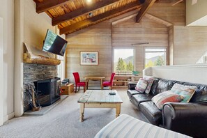 Télévision, cheminée, livres, chaîne hi-fi