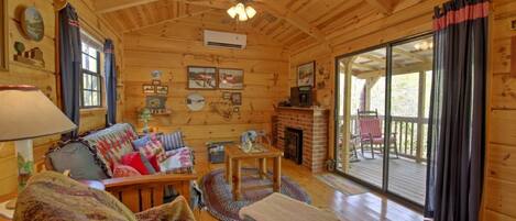 TV, fireplace, DVD player, books