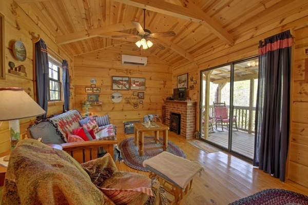 TV, fireplace, DVD player, books