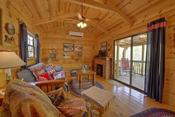 TV, fireplace, DVD player, books