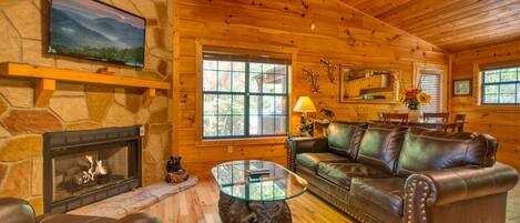 Télévision, cheminée, lecteur de DVD