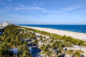 Une plage bordée de palmiers, une étendue de sable et, au loin, le paysage urbain.