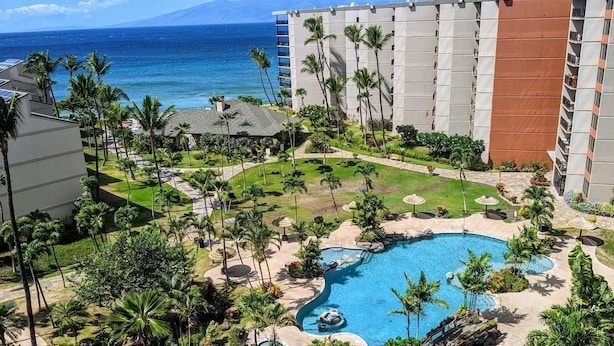 Un resort con piscina rodeada de palmeras y vistas al océano.