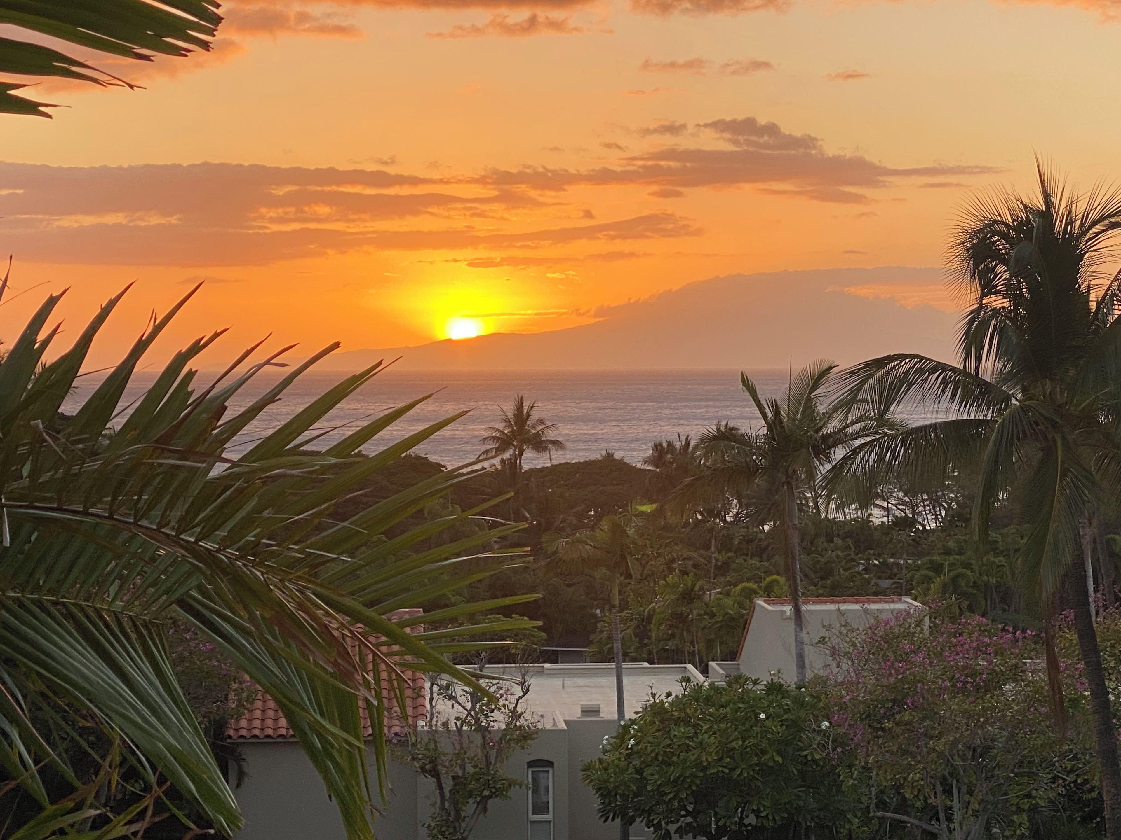 A sunset view with palm trees and a building in the foreground.