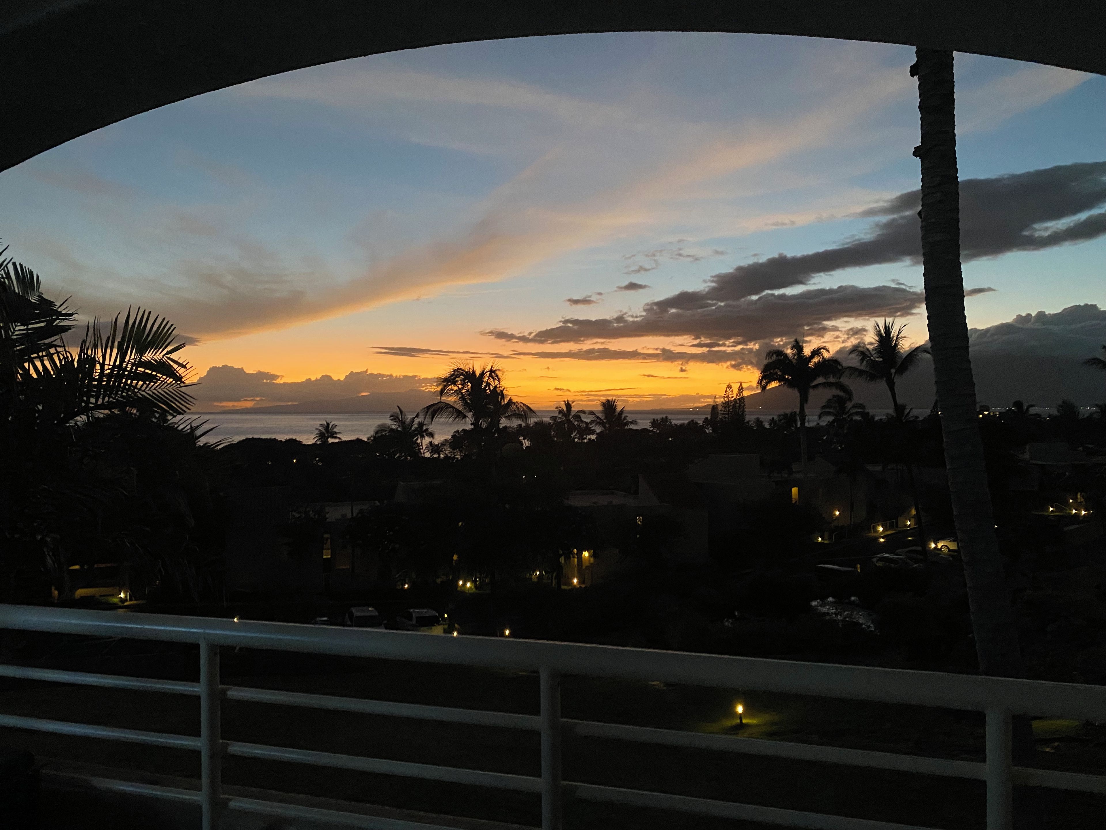 A sunset view from a balcony with palm trees and a railing.
