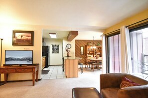 TV, fireplace, DVD player, books