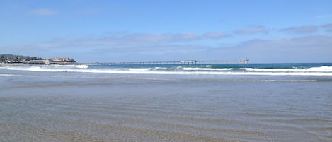 A beach with a pier extending into the ocean, a clear sky, and a distant shoreline with buildings.