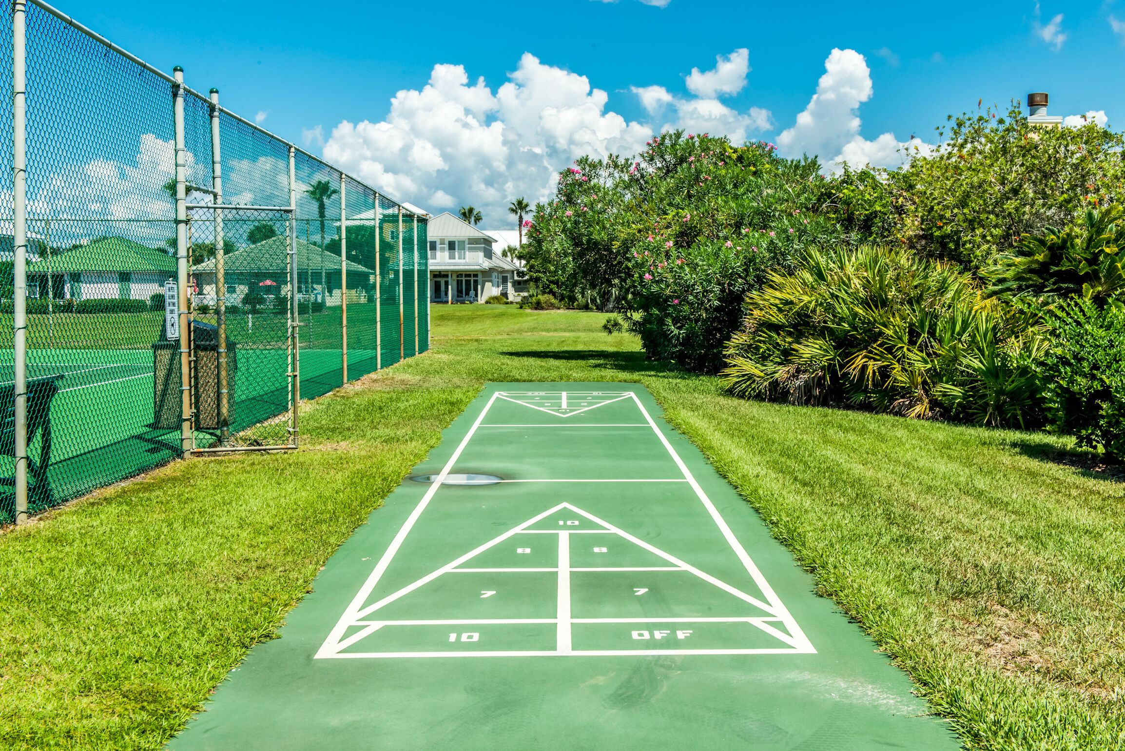Un terrain de jeu de shuffleboard doté d’une surface verte, entouré d’une clôture en treillis métallique et d’une végétation luxuriante.
