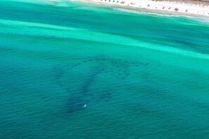 Vista aérea de una playa con aguas turquesas cristalinas y una orilla arenosa.