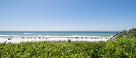 Accommodatie ligt op het strand