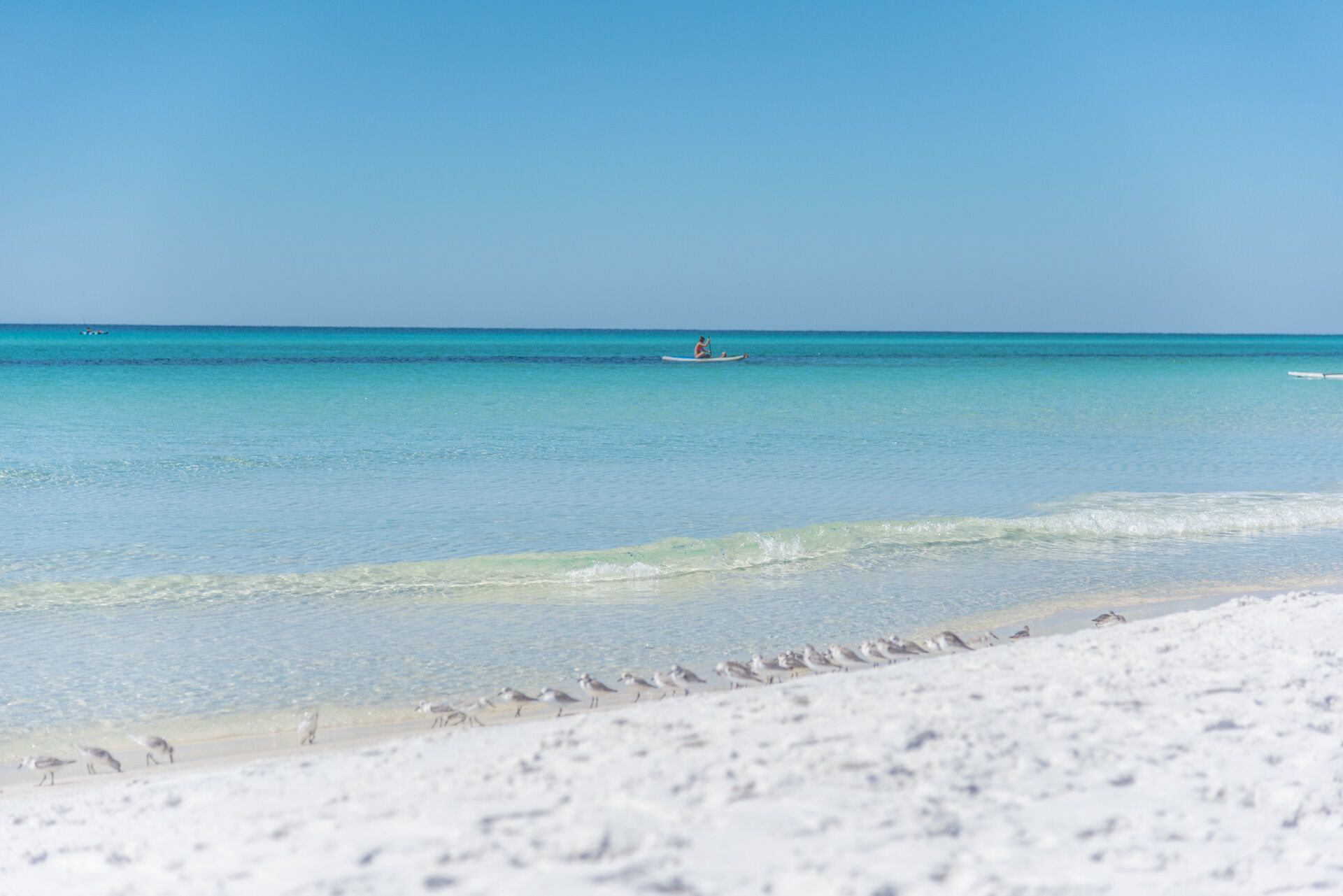 A beach with clear turquoise water, a person paddling a kayak, and seagulls on the sand.