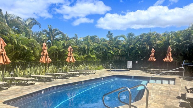 A swimming pool with lounge chairs and umbrellas, surrounded by palm trees.