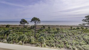 Kustlandschap met een strand, dichte begroeiing en een heldere lucht.