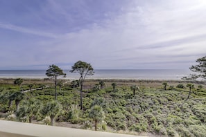 Vue sur la plage/l’océan