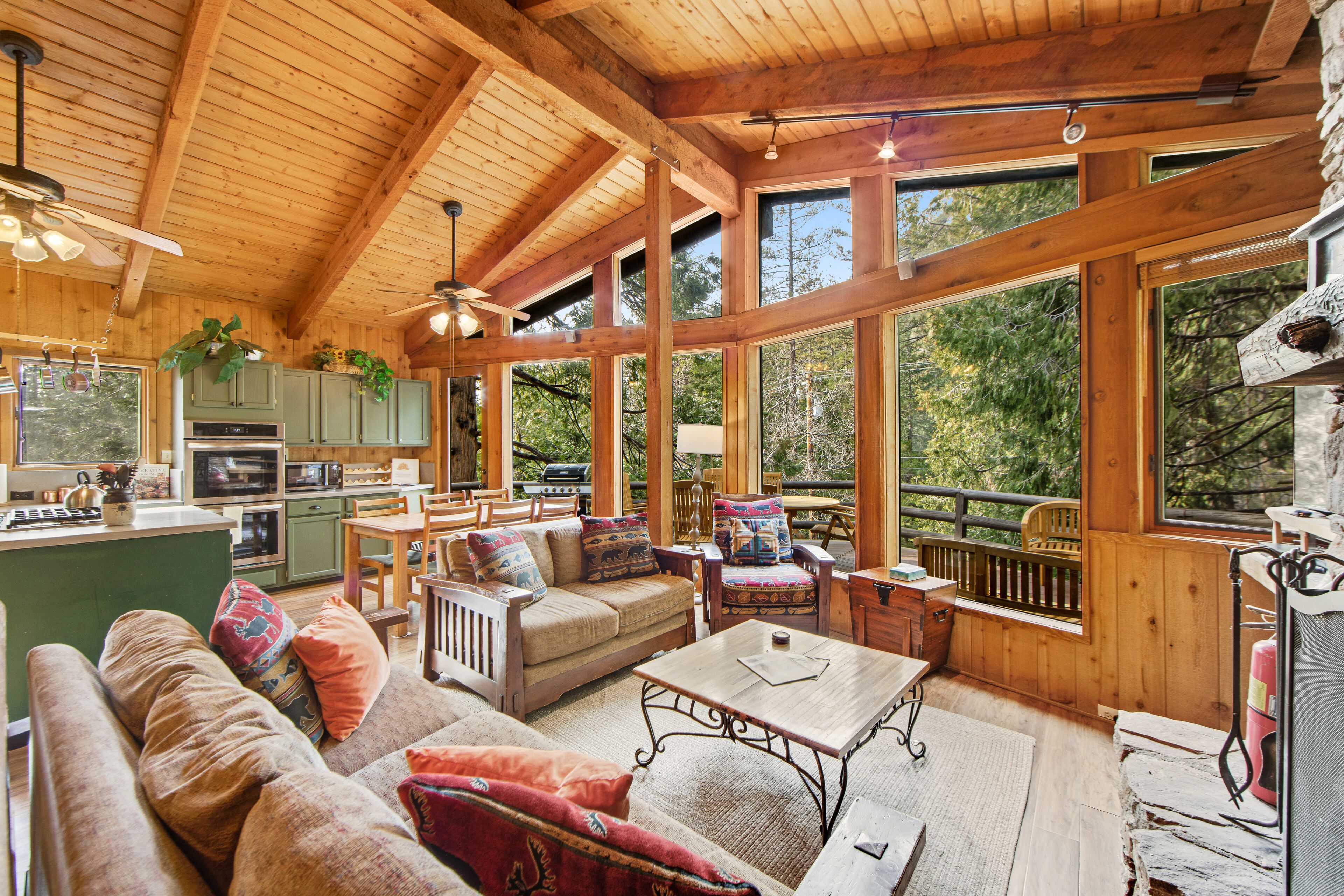 TV, fireplace, DVD player, books