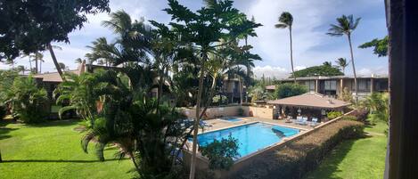 A swimming pool surrounded by palm trees and a well-maintained lawn, with buildings in the background.