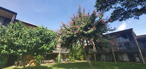 A courtyard with a tree, outdoor furniture, and a building with balconies.