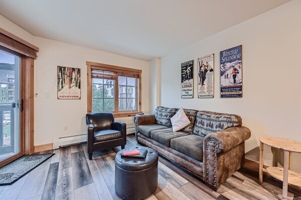 TV, fireplace, DVD player, video library