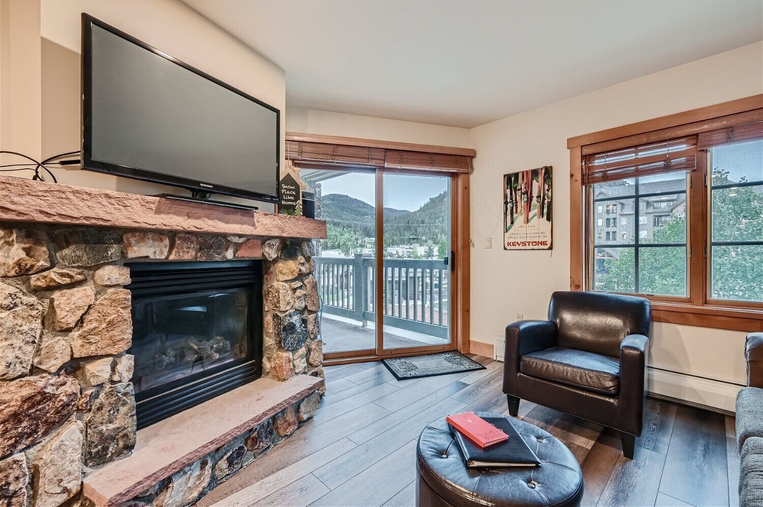 Fireplace, DVD player, video library