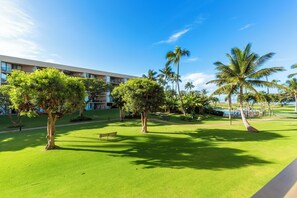 Property grounds - Central location with private view deck to oceanfront park (Kihei)