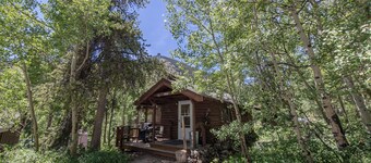 Dog Friendly Mountain High!