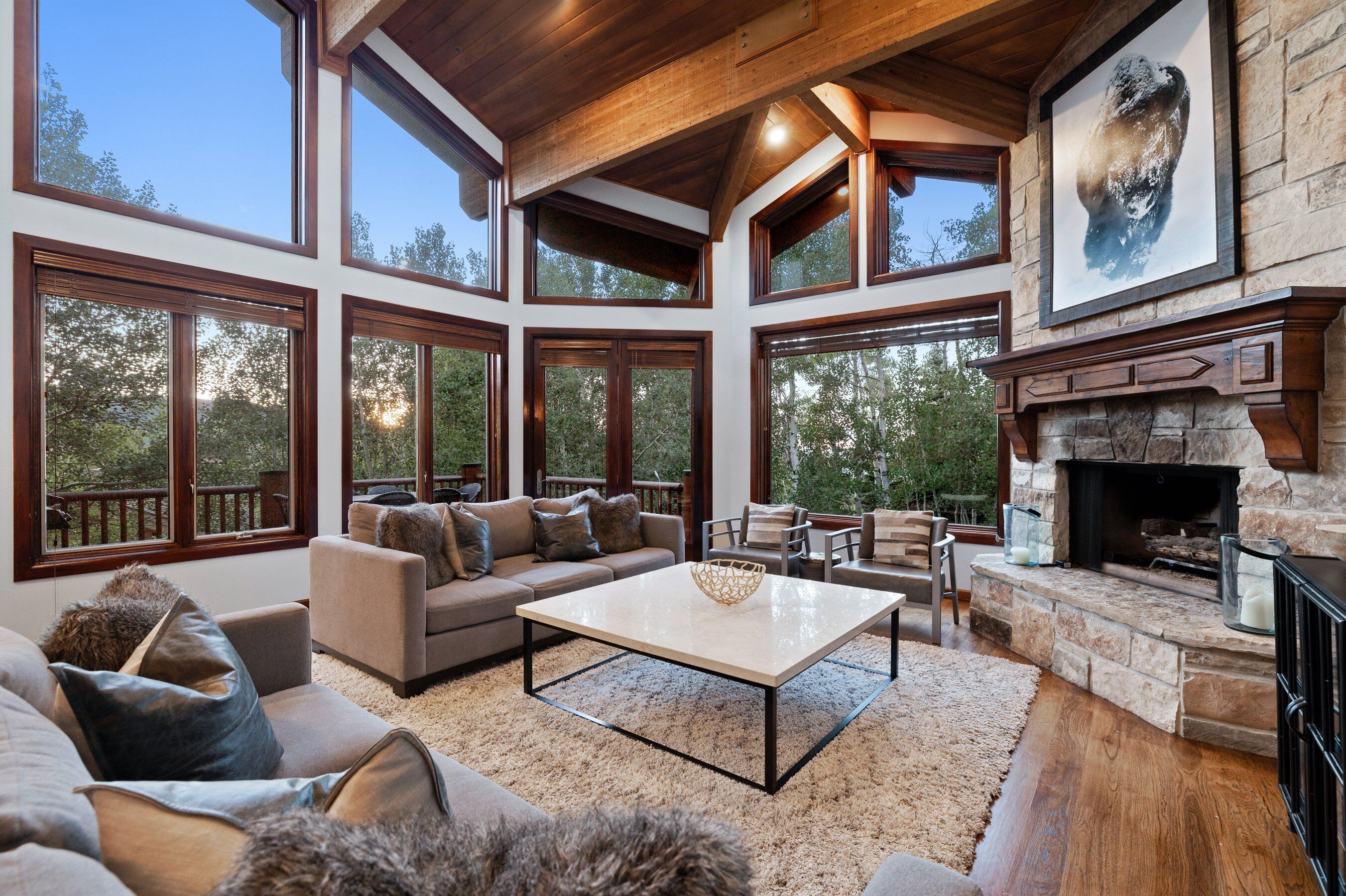 Télévision, cheminée, chaîne hi-fi