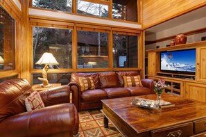 TV, fireplace, offices