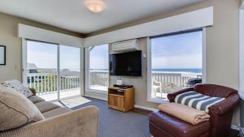 TV, fireplace, DVD player, books