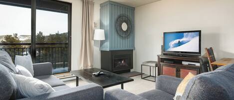 TV, fireplace, DVD player