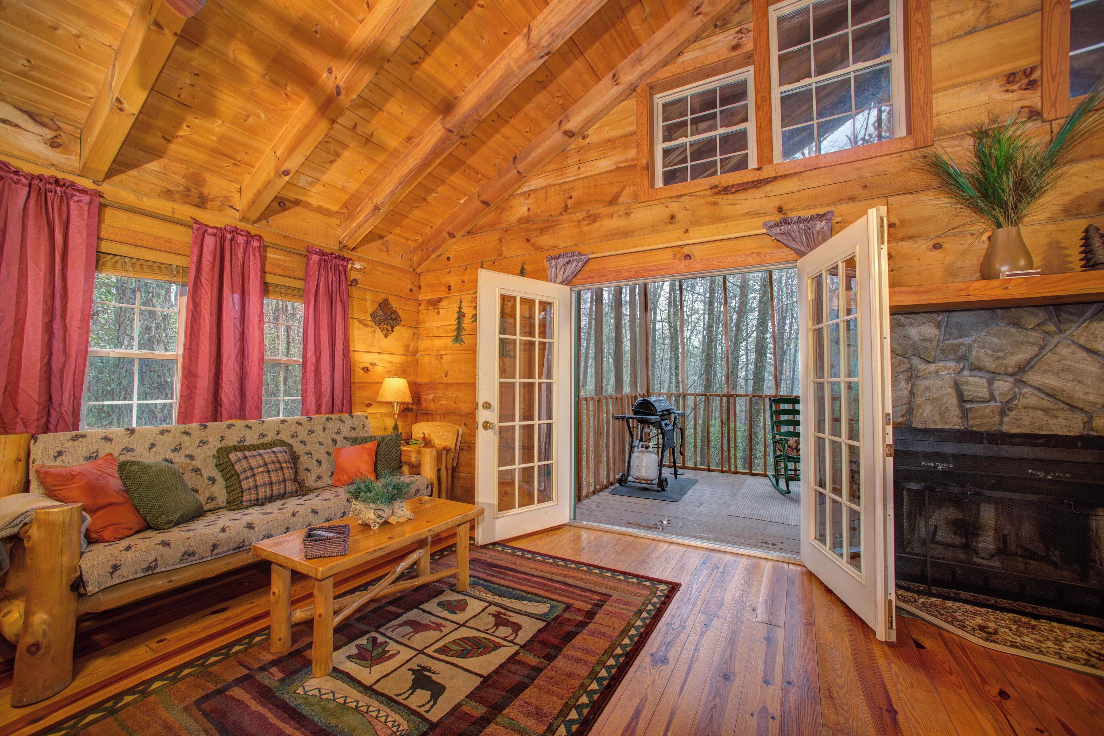 テレビ、暖炉、DVD プレーヤー