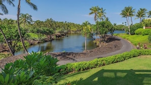 A tropical landscape with a river, palm trees, and a well-maintained lawn.