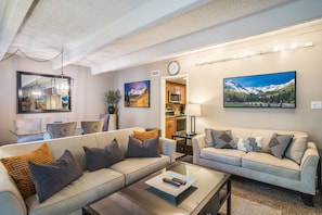 TV, fireplace, DVD player, books