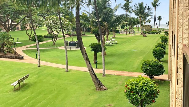 A well-maintained golf course with clear pathways, palm trees, and picnic tables. - King size bed!   On the ocean front property (Kihei)