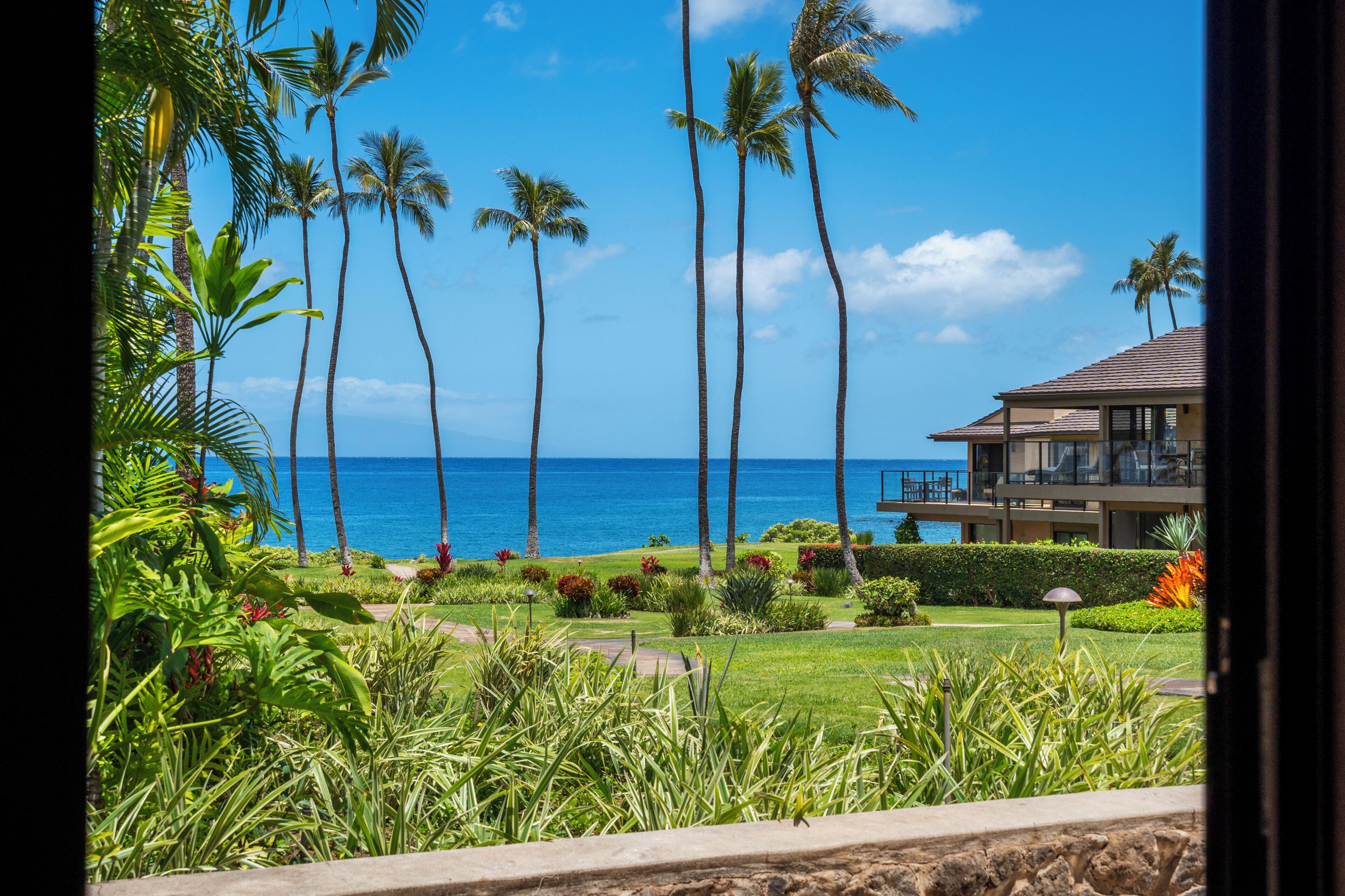 A view of a tropical resort with palm trees, a well-maintained garden, and a building with a balcony overlooking the ocean.