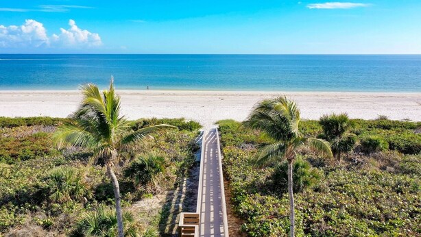 A paved pathway leading to a beach with palm trees and dense vegetation.