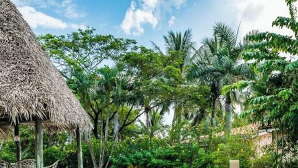 A pool with a curved edge, surrounded by lush greenery and a thatched-roof structure.